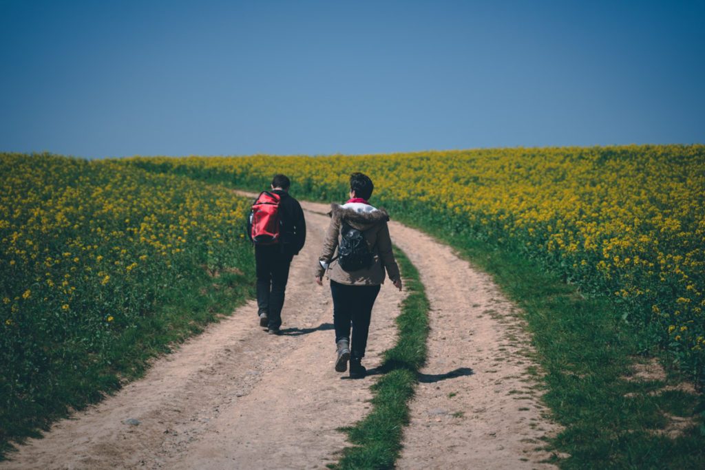 Walking through the yellow flowers