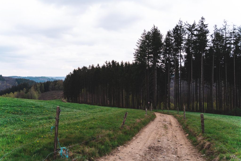 Trail in Corbion