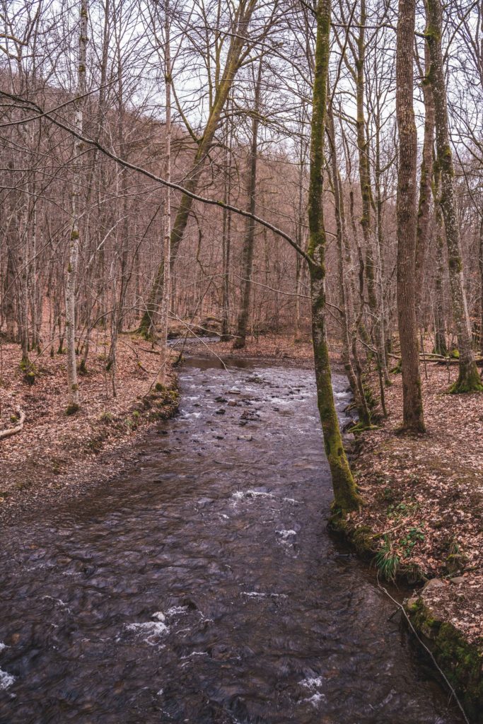 Le Ruisseau river