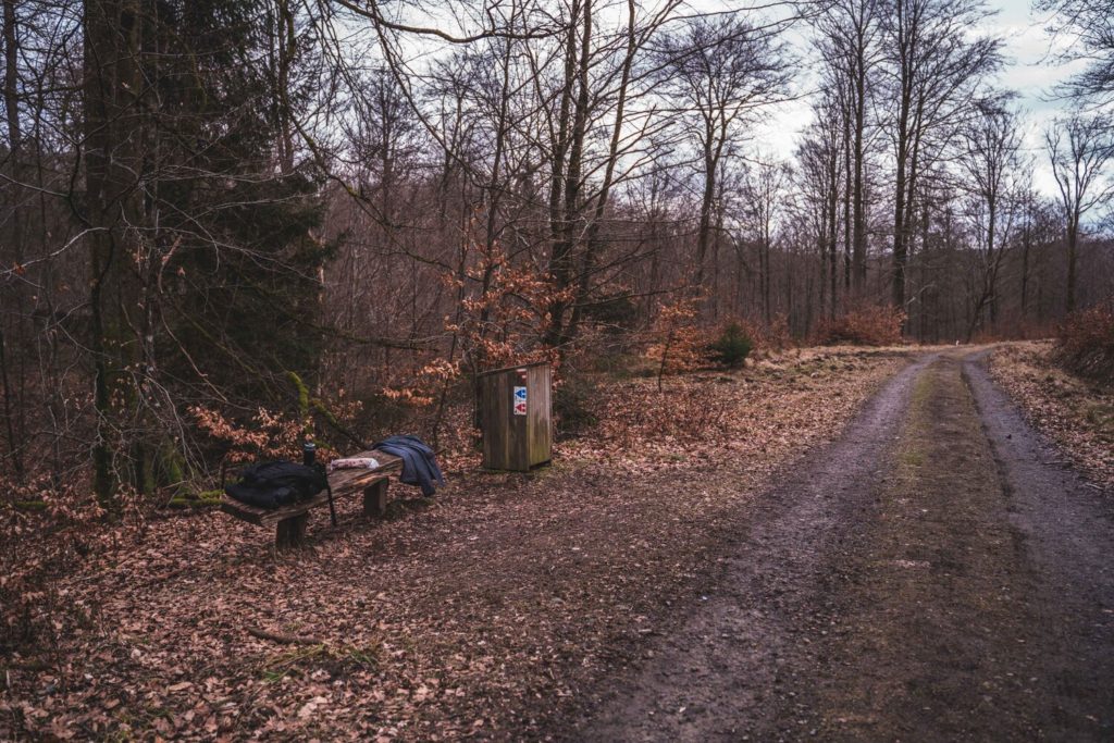 Hiking in Saint-Hubert forest