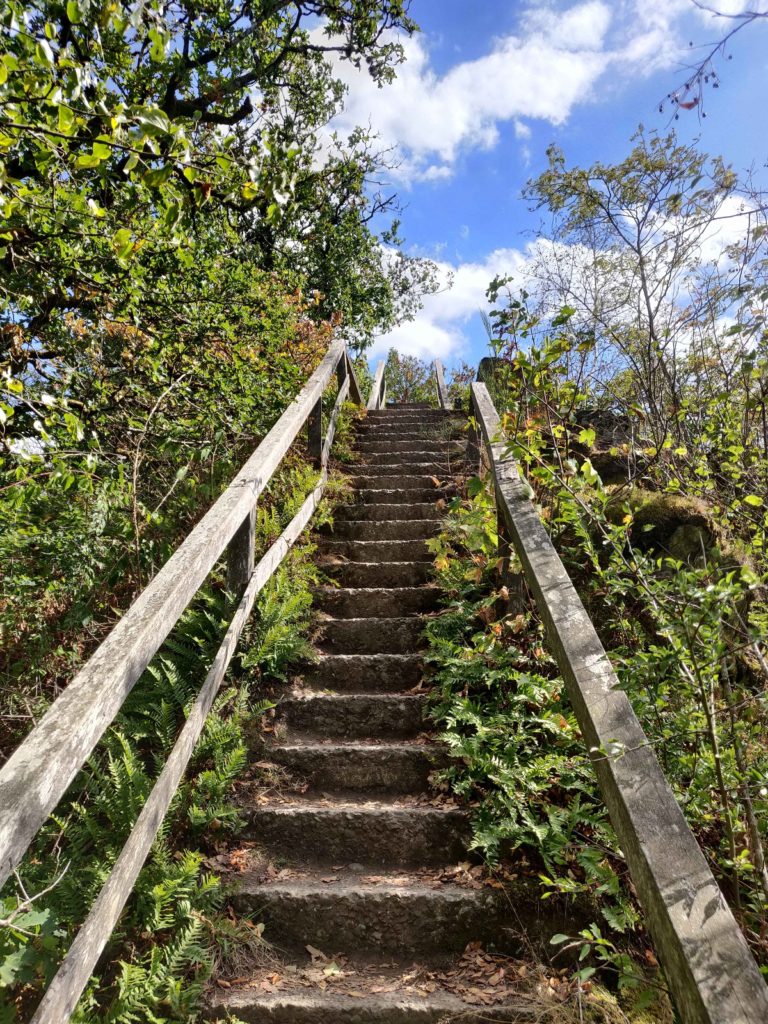 stairs while hiking around the nisramont lake