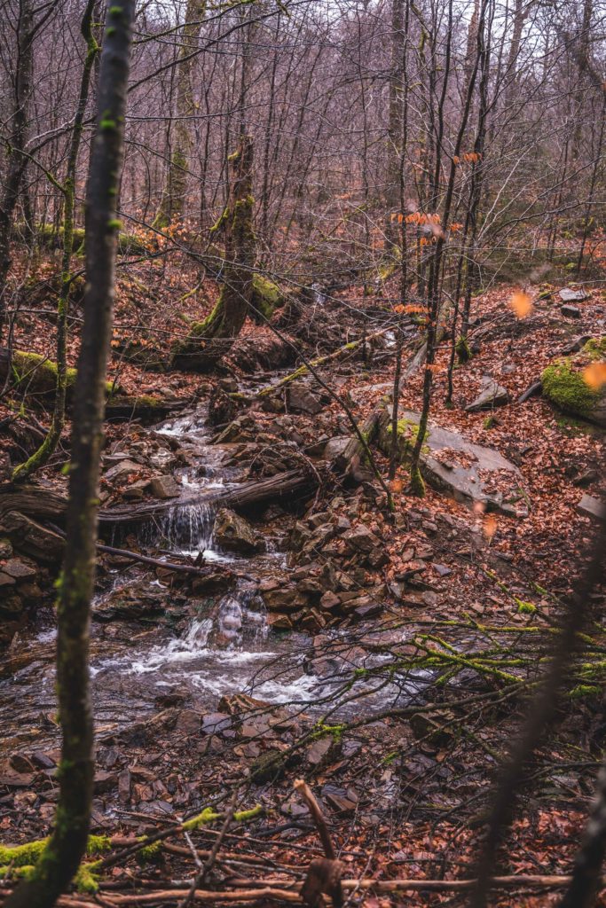 Le Ruisseau de la Donneuse