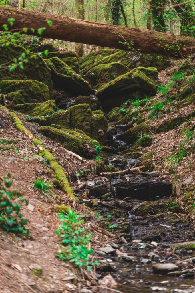 Small waterfall into the Semois river