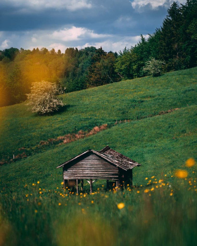 Cabin surrounded by yellow flowers in a beautiful meadow on my way back to Bevercé