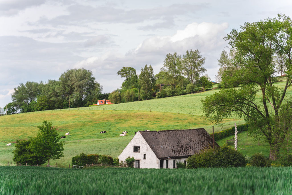 Flemish Ardennes panorama view