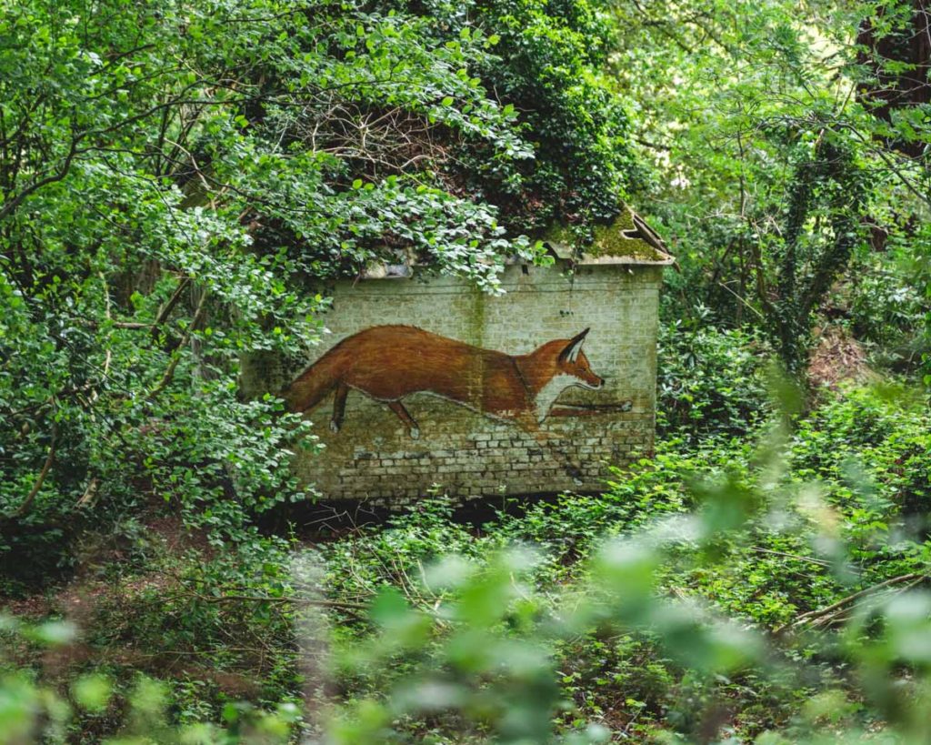 A fox in graffiti art by one of my friends Pete One