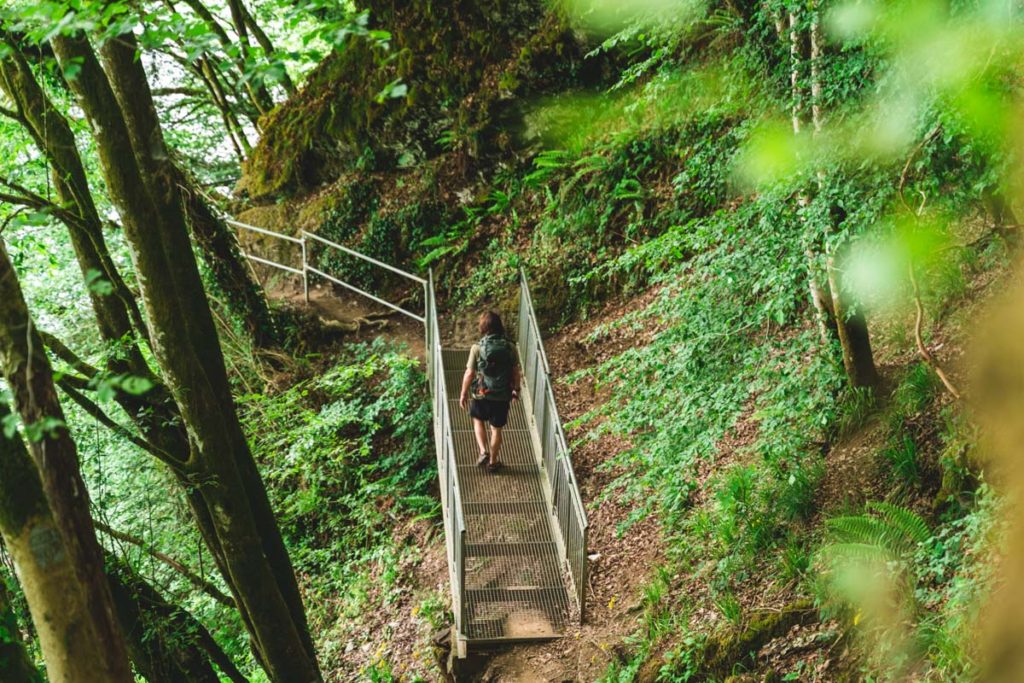 Part of the ladder hike that starts in Rochehaut