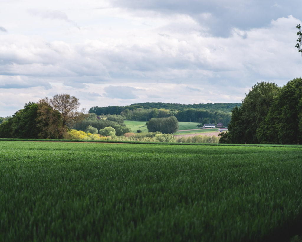 Another panoramic view of the Flemish Ardennes