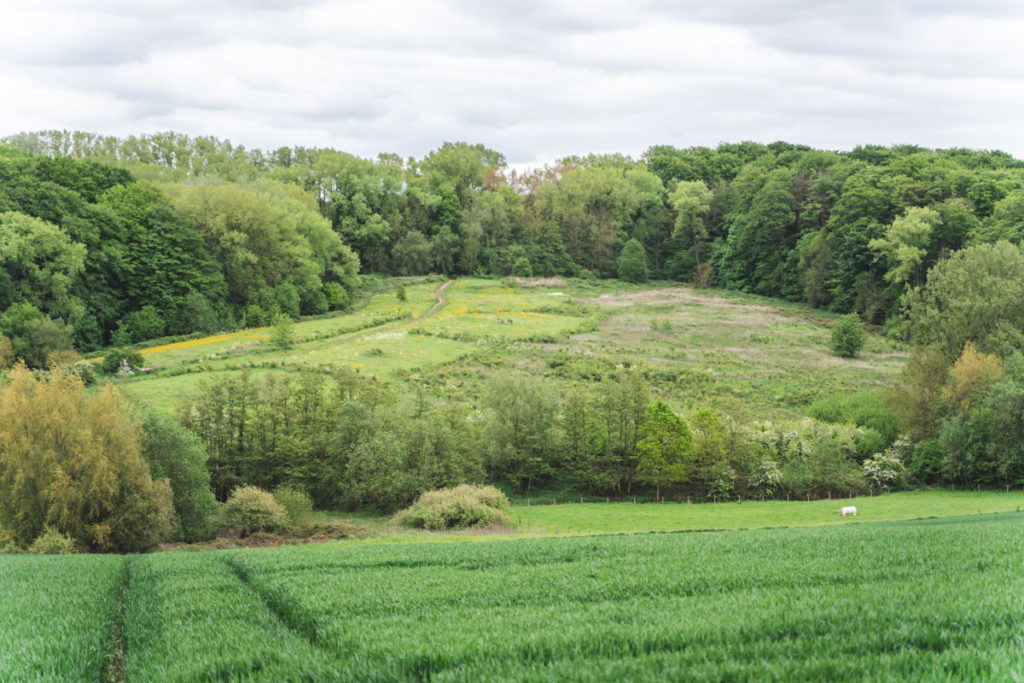 View behind the Hotond hill