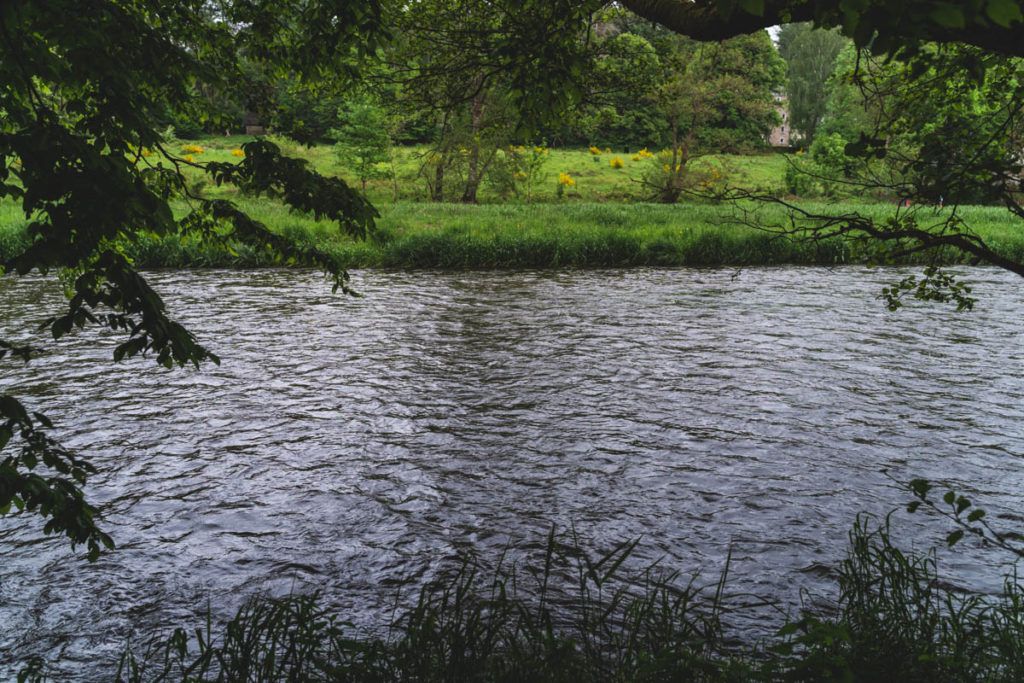 Semois river view