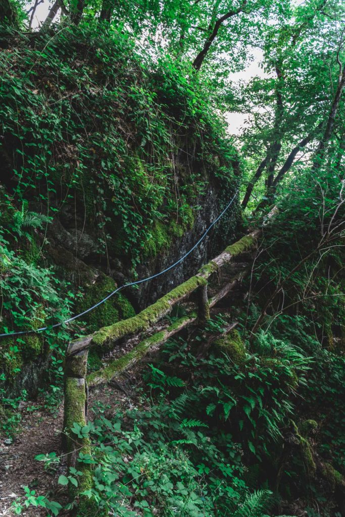 Picturesque hiking trails in the NaturWanderPark