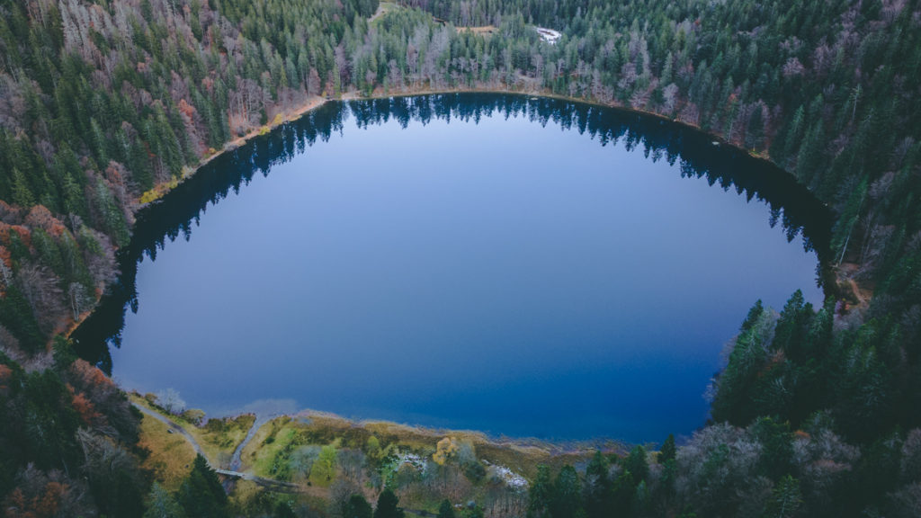 Feldsee in Black Forest