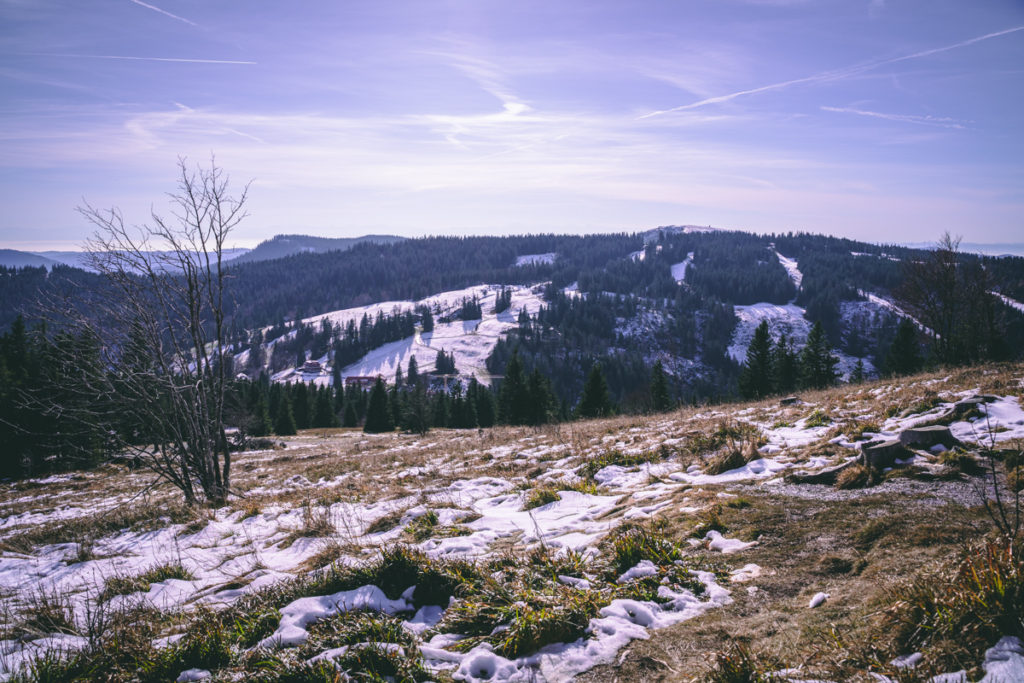 Landscape around Feldberg