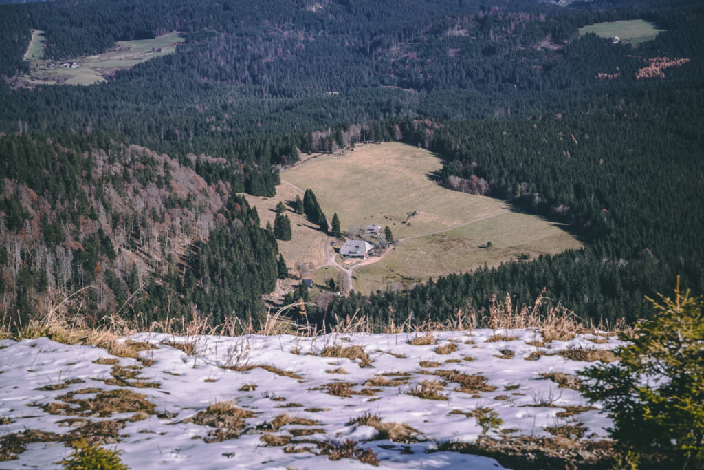 Panoramic view while hiking the Feldberg Steig