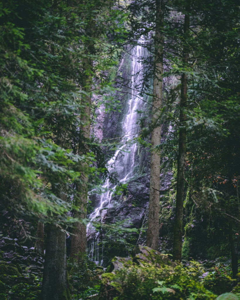 View from the Burgbach waterfall