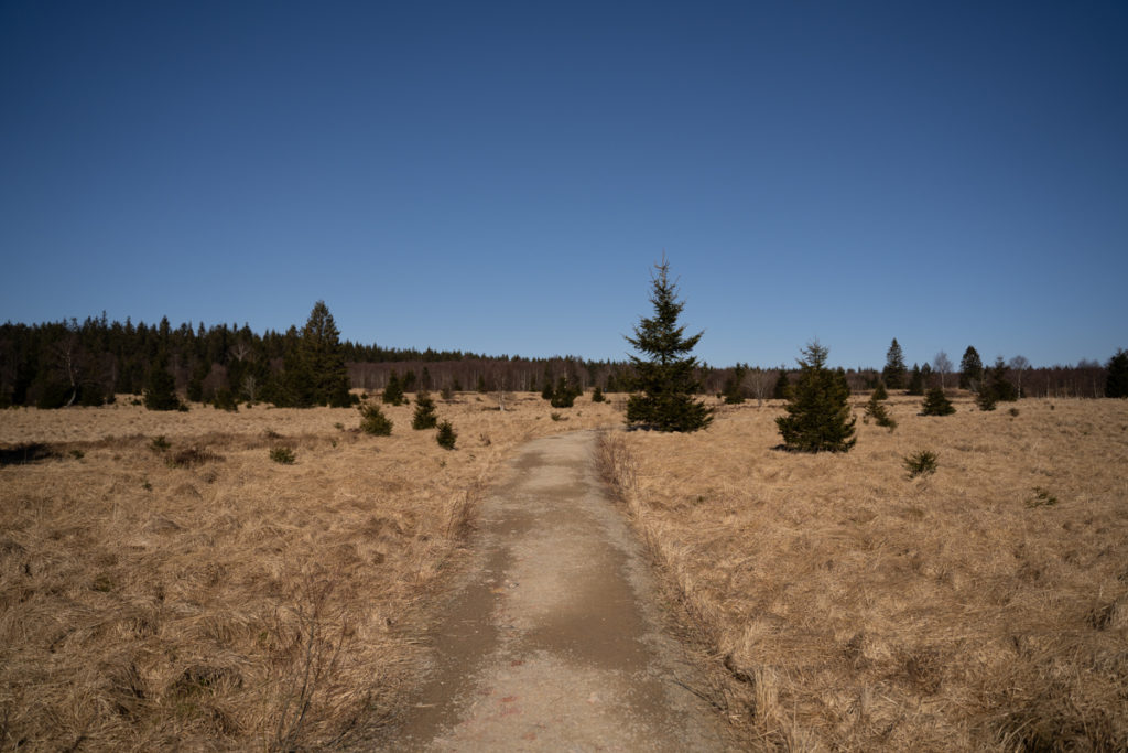 High Plains of at Baraque Michel