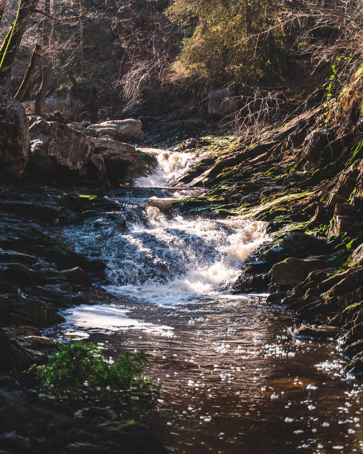 Water rapids in La Hoegne