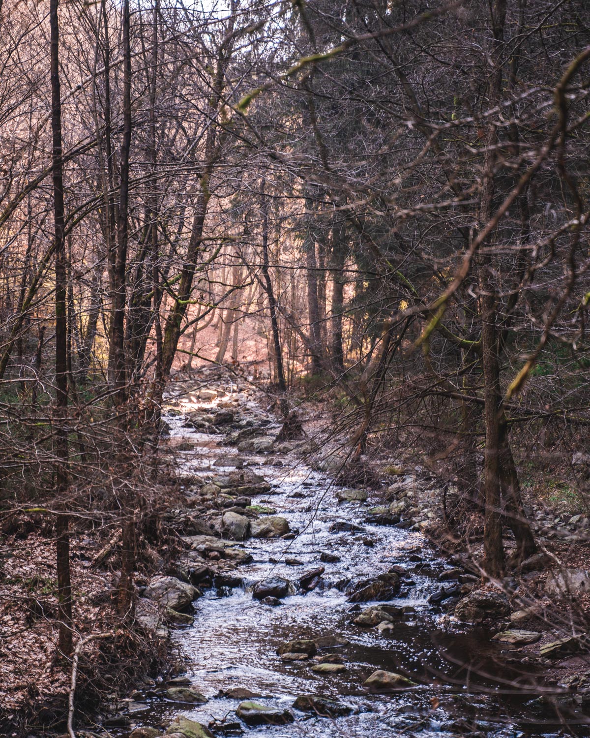 Wild river La Hoegne