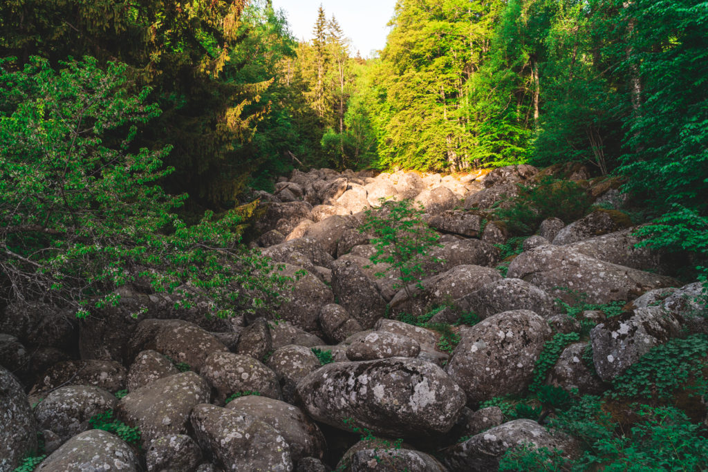 Golden Bridges, stone rivers in Vitosha Nature Park