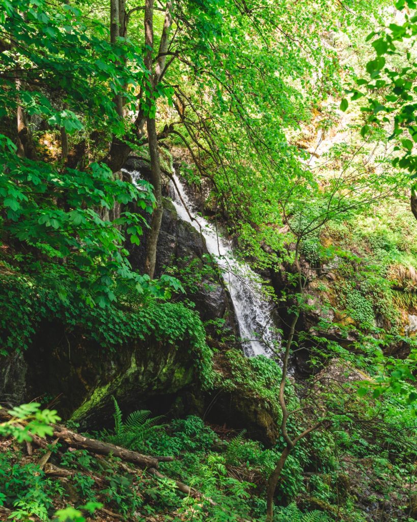 Another portion of the many Boyana waterfalls