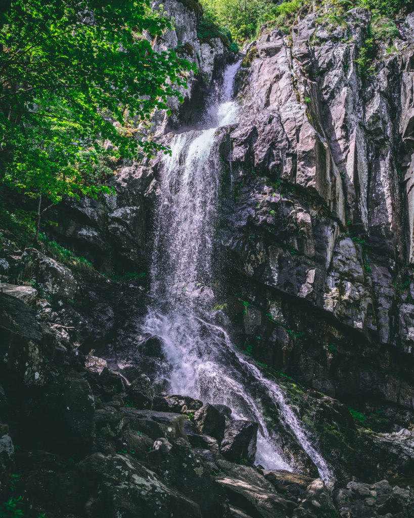 The Boyana waterfall in all its glory