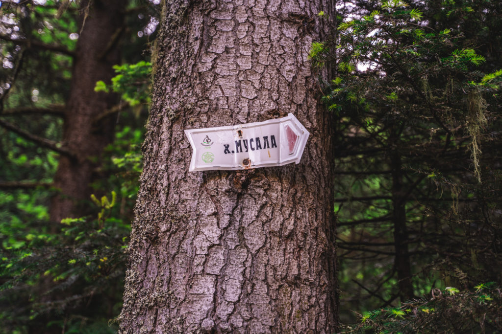 Way marker on the way to Musala Peak.